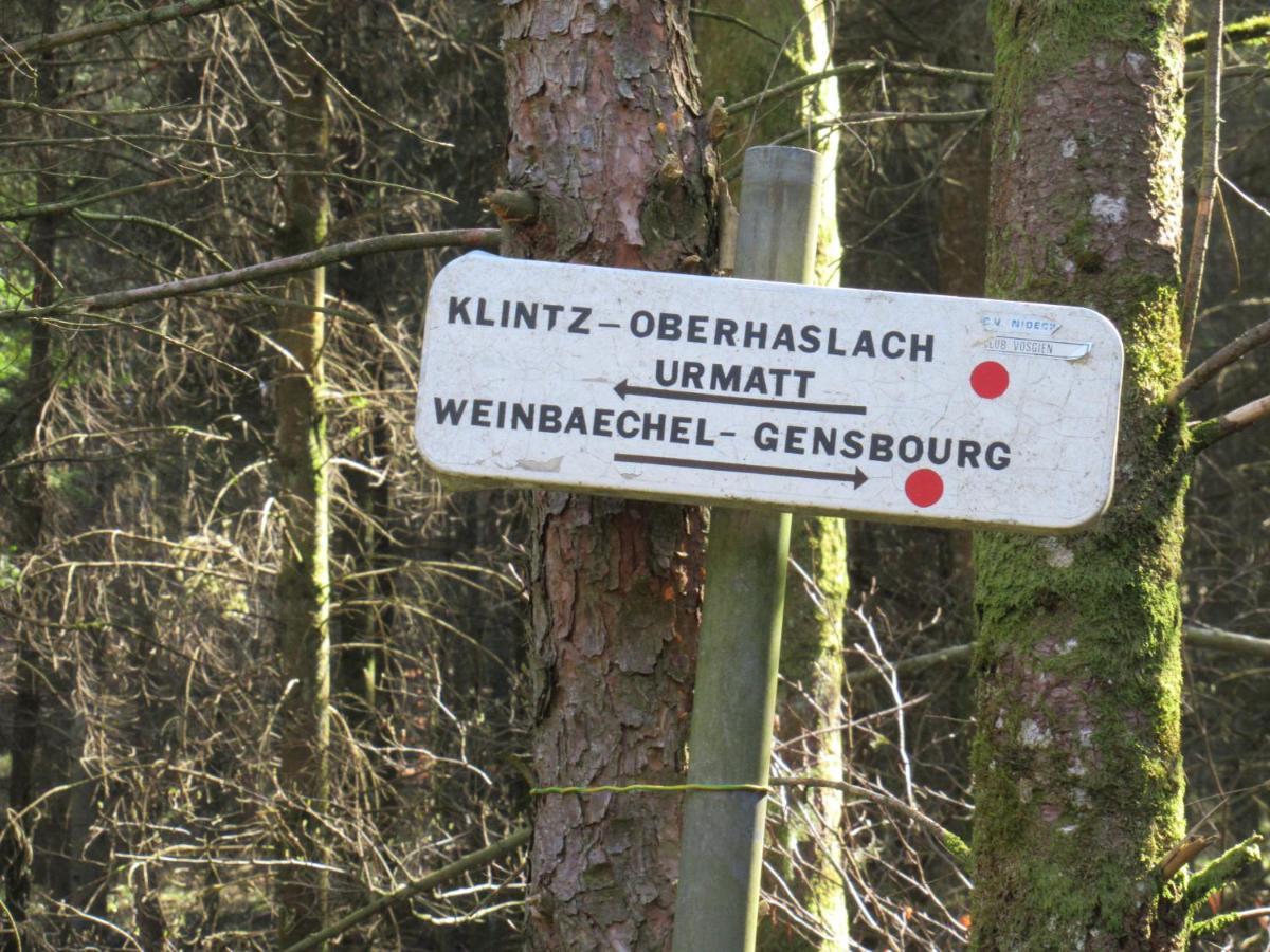 Le Clos D'Aure. Oberhaslach Kültér fotó