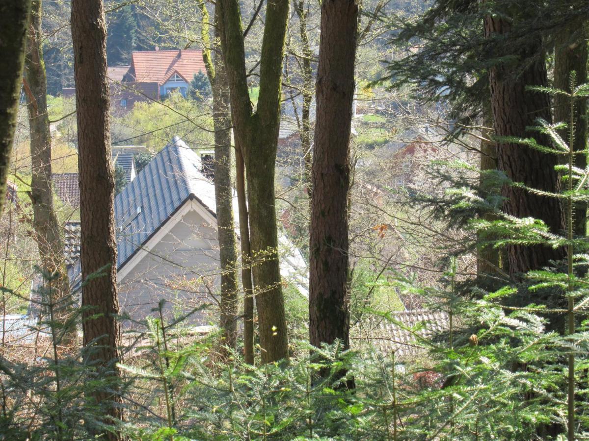 Le Clos D'Aure. Oberhaslach Kültér fotó