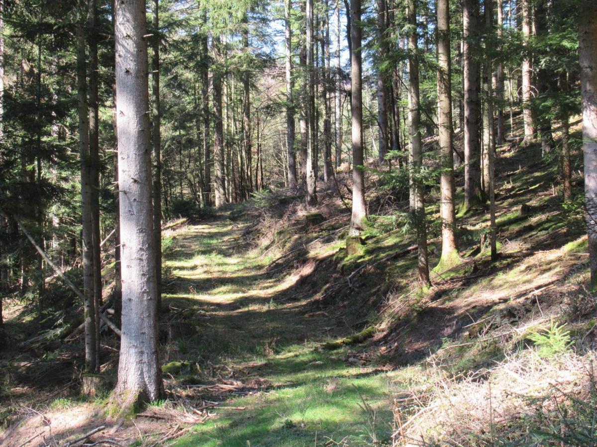 Le Clos D'Aure. Oberhaslach Kültér fotó