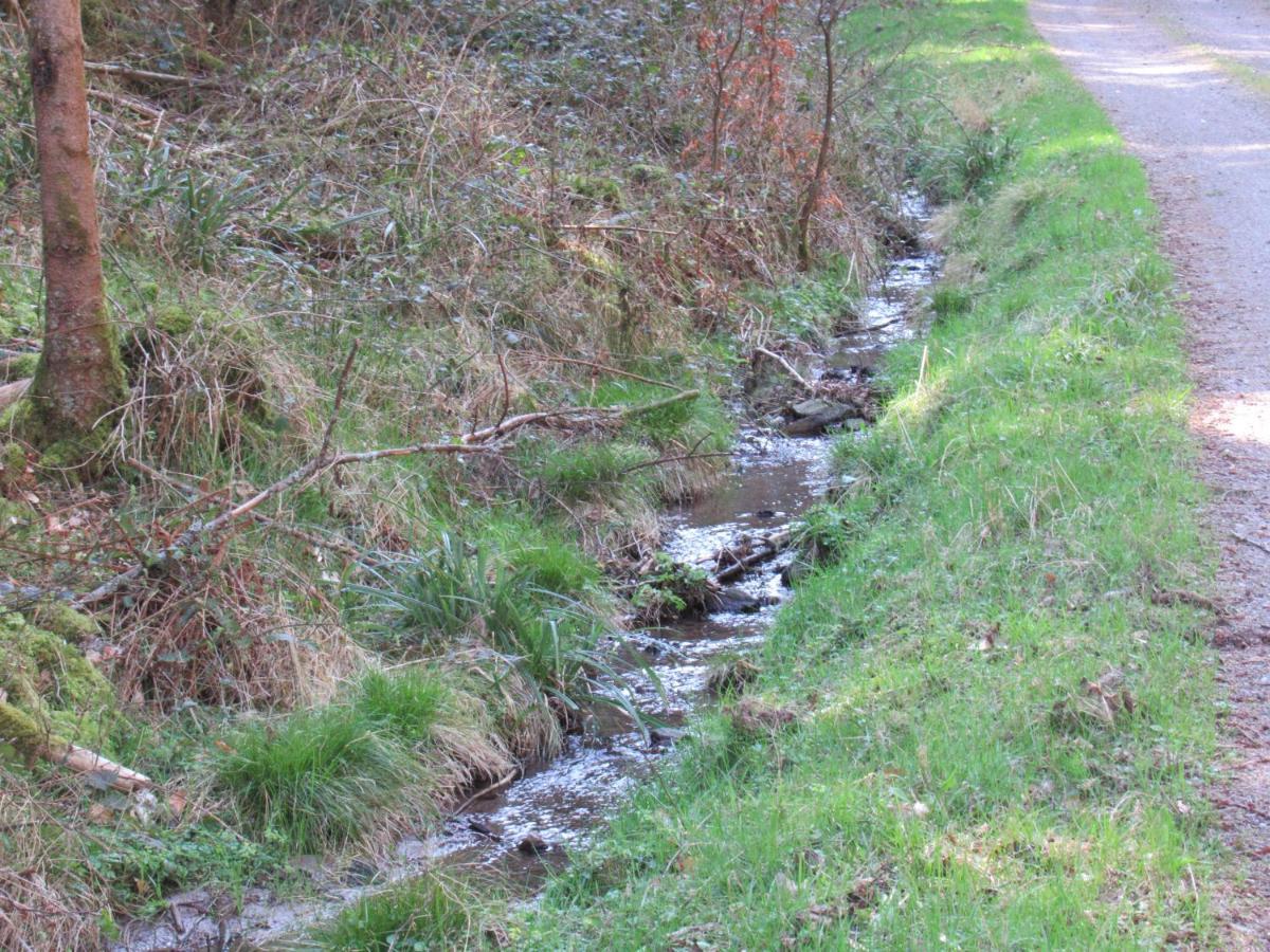 Le Clos D'Aure. Oberhaslach Kültér fotó