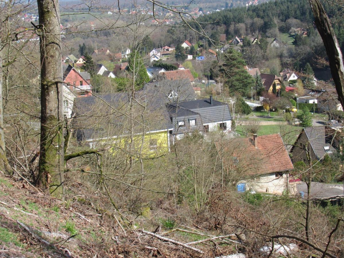 Le Clos D'Aure. Oberhaslach Kültér fotó