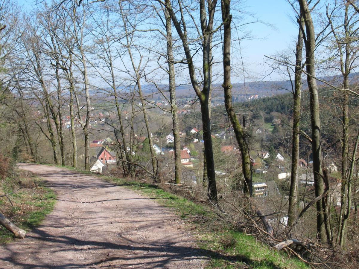 Le Clos D'Aure. Oberhaslach Kültér fotó